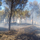 Manisa'da otluk alanda çıkan yangın söndürüldü