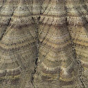 Çankırı'da doğal yollarla oluştu: Fotoğraf tutkunlarının gözdesi haline geldi