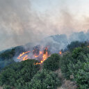 Manisa'daki yangınla mücadeleye MSB'den destek