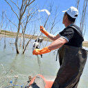 Koçhisar Barajı'nda 'hayalet ağ' denetimi: Kaçak avcılara ceza kesildi