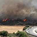 Çanakkale'de tarım arazisinde yangın