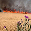 Susurluk-Bandırma kara yolunda tarla yangını