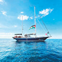 Bin gemi ile Gazze’ye