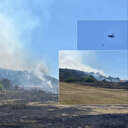 Sakarya Orman İşletme Müdürlüğü'nün deposunda yangın: Ormana da sıçradı