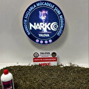 Yalova'da uyuşturucu operasyonlarında 9 tutuklama