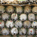 Siirt'in dağlarında çalışarak para kazanıyorlar: 'Babamın dedesinden beri bu işi yapıyoruz'