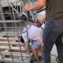 Adana'da demir parmaklıklara sıkışan çocuğun imdadına itfaiye yetişti: İşte kurtarma anları