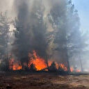 Karabük’te orman yangını çıktı