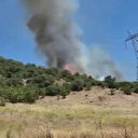 Bursa'da orman yangını 