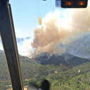 Sakarya'da orman yangını: Çok sayıda ekip seferber oldu