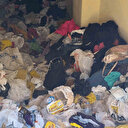 Mardin Artuklu’da 'çöp ev' temizlendi: Mahalle sakinleri rahat nefes aldı