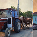 Sakarya'da ormanlık alanda çıkan yangın Bilecik tarafına sıçradı