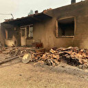 Bilecik’teki orman yangınında bir köy kül oldu