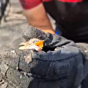 Bursa’daki orman yangınında mahsur kalan yavru kuş kurtarıldı