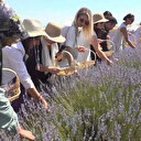 Burdur’da lavanta tarlaları sanatla buluştu