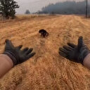 Sakarya'da alevlerin ortasında kalan köpek böyle kurtarıldı