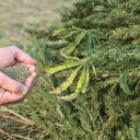 Murat Ülker'den kenevir açılımına tepki: Uyuşturucu ticareti kılıf değiştirir ama amacından vazgeçmez