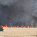 Sakarya’da başlayıp Bilecik’e sıçrayan yangın sürüyor