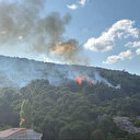 Pendik'te ormanlık alanda yangın: Ekiplerin müdahalesiyle söndürüldü