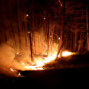 Bolu’da orman yangını