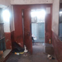 Plus de 200 prisonniers s’évadent au Pakistan après un séisme à Karachi