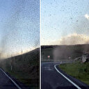 Her yeri istila ettiler: Dehşete düşüren görüntü hızla yayıldı, deprem habercisi mi?