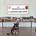 Jandarmadan kaçak tütün operasyonu