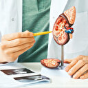 Böbrek sağlığında ulusal seferberlik