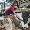 Küçük Ecrin hayvan pazarının en gözde satıcısı oldu: 'Oyun oynayacağıma babama yardım ederim'