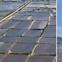 Edirne'de çeltik ekimi sona erdi: 450 bin dekarlık alan ekildi