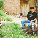 Kene kâbusuna tavuklu çözüm