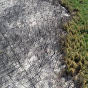 Tekirdağ'da 15 Haziran-15 Ekim arası ormanlara girişler yasaklandı