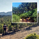 Valilik duyurdu: Bir ilde daha ormanlara girişler yasaklandı