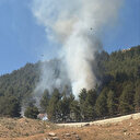 Ormanlık alanda çıkan yangın korkuttu