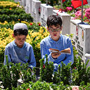 Şehit aileleri arife günü Edirnekapı Mezarlığı'nı ziyaret etti