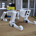 Bayburtlu öğrencilerden görme engelliler için yapay zeka destekli robot köpek