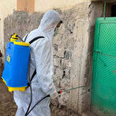 Şırnak'ta şap hastalığı tespit edildi bir köy karantinaya alındı
