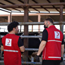 Türk Kızılay Irak'ta ihtiyaç sahibi ailelere dokuz tonluk kurbanlık et bağışlayacak