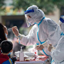 Çin’de yeni koronavirüs keşfi: İnsana bulaşması 'yalnızca küçük bir adım' uzakta