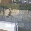 Böyle doktor olmaz olsun: Kadını önce itti sonra ardına bile bakmadı