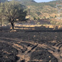 Şırnak'ta yaklaşık 50 dönüm buğday ekili alan yandı