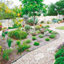 Su kıtlığına çözüm: Kurakçıl peyzaj