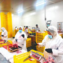 24 saat Gazze için çalışıyorlar