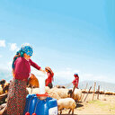 Terör bitti yaylalara huzur geldi