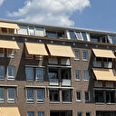 Hollanda'nın üç bölgesi için aşırı sıcak sebebiyle turuncu alarm verildi