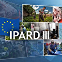 IPARD III Programı 7. başvuru çağrısı ilanı yayımlandı