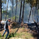 Antalya'da yangın ormana sıçramadan söndürüldü 