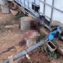 Kırşehir'de bahçe sulama kavgası kanlı bitti: Komşusunu öldürüp, eşini yaraladı