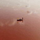 سینیگال کی گلابی جھیل کے رنگ واپس آ گئے