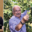 Fındık için savaşıyor